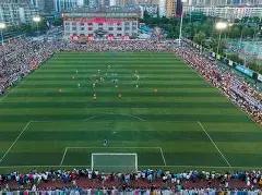 郑海霞受聘,出席秦皇岛,首届全国中,大发彩票,大发娱乐,大发快三,大发彩票官网