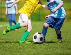 彩界先锋,双色球,独家前瞻,大发彩票,大发娱乐,大发快三,大发彩票官网