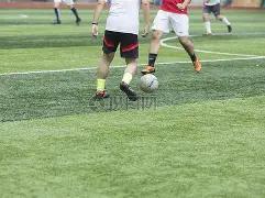 欧阳纤独家,揭秘,期双色球三,大发彩票,大发娱乐,大发快三,大发彩票官网