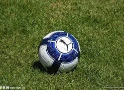 灵犀一指,体彩排列三,期神算八卦,大发彩票,大发娱乐,大发快三,大发彩票官网