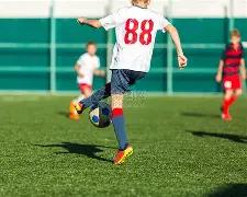 独家揭秘,狗年双色球,期选号高招,大发彩票,大发娱乐,大发快三,大发彩票官网