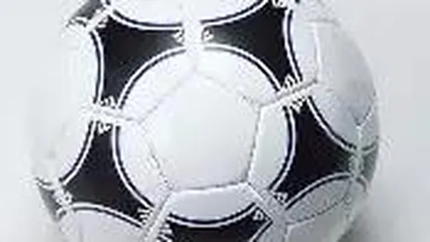 《百岁英豪》 张坪