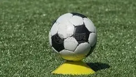 大发彩票官网 资讯 171544 mcp