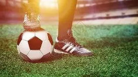 大发彩票官网 资讯 171537 eww