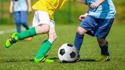 日本购物：13000日元购入两枚西瓜