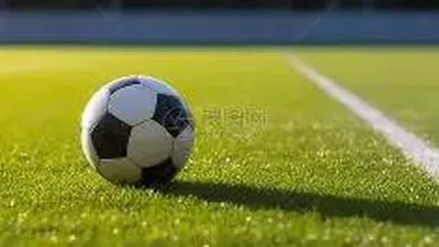 【独家揭秘】2025140期双色球必中攻略：专家精准定胆，02与11闪耀登场！