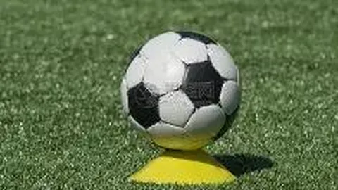 【独家揭秘】26017期双色球速递：精准预测，一网打尽必杀球号，解码开奖走势图！